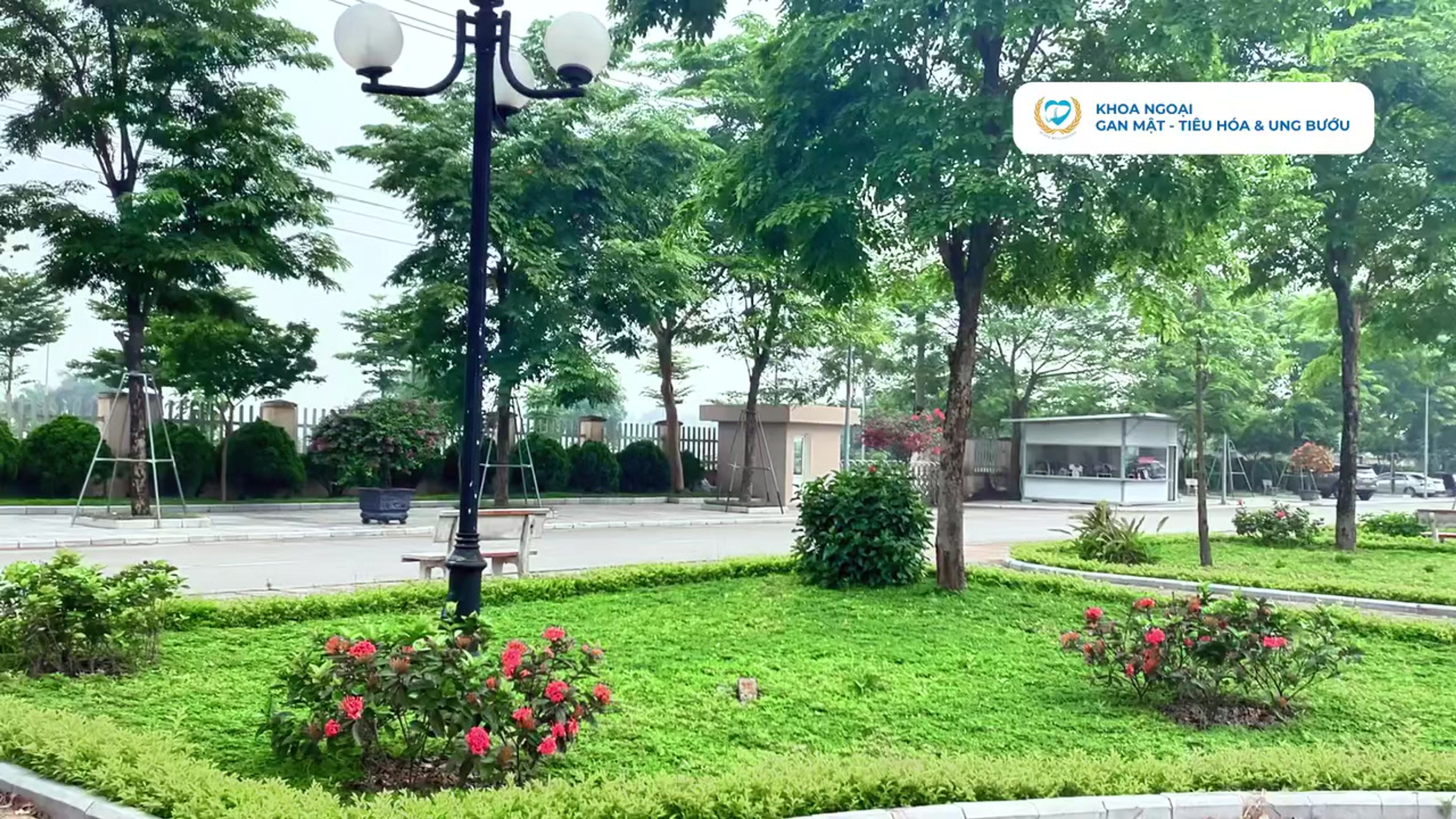Vid 1